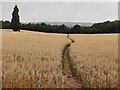 Path across farmland towards Wolverley