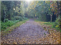 The Valley Trail, Sudbury