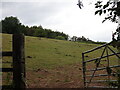 Wood Farmland