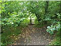 SO9245 : Footpath in Tiddesley Wood by Jeff Gogarty