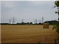SO8695 : Haystack and Pylons by Gordon Griffiths
