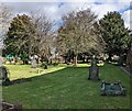 ST3390 : Churchyard trees, Caerleon by Jaggery