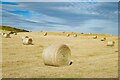 NZ9210 : Hay Bales near Whitby by Jeff Buck