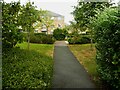 Path through the garden of the Plover Mills housing estate