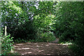 Bridleways junction on Wrottesley Old Park in Staffordshire