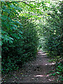 Bridleway to Hollies Lane, Nurton