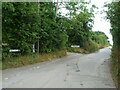 Leading up Fuddlebrook Hill