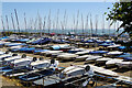 Thorpe Bay Yacht Club