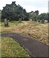 Churchyard headstones and trees, Trostrey, Monmouthshire