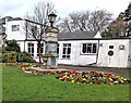 Colourful flowers in early Spring 2022, Caerleon