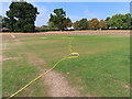 Watered cricket square green in drought-browned field