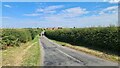 Road towards Collingthwaite Farm