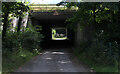 SD5483 : Tunnel under the M6 at Preston Patrick by Chris Heaton