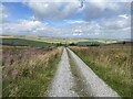 Farm track to Boarsgrove