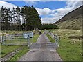 NN3391 : Cattle grid and rubbish bins by David Medcalf
