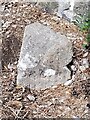 Old Boundary Marker on the A177 Stockton Road, Durham