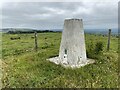 Wilpshire Moor Trig Point Flush Bracket S4560