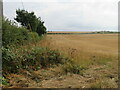 Stubble fields at Reston