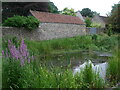 Chippenham Road pond