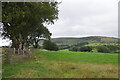 Fields near Hoel Senni