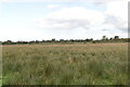 Portmore Lough Reserve