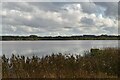 J1069 : Portmore Lough by N Chadwick