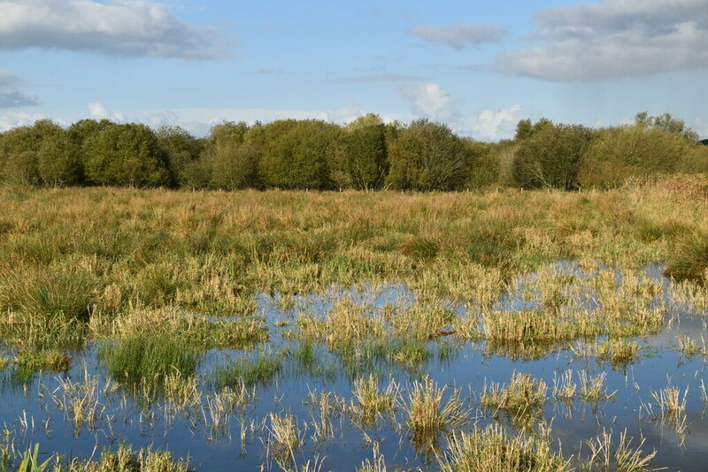 Portmore Lough Reserve © N Chadwick :: Geograph Ireland