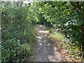 Footpath heading for the Manor House