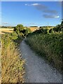 Icknield Way heading for Weston