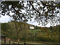 Melrose House from Hawkers Lane