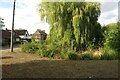 Weston village pond