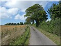 Lane to Hill Farm