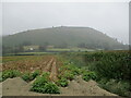 SO2760 : Potato field in the rain, Lower Harpton by Jonathan Thacker