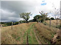 Llwybr cyhoeddus ger Ffarm Pantycelyn / A public footpath near Pantycelyn Farm