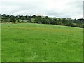 Field with distant tower