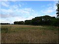 Stubble field off The Causeway