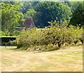 Oast House, Moat Farm