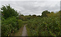 Path from The Cinder Path to Halfpenny Close, Knaresborough