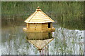 TL4654 : Duck House on the Pond by Geographer