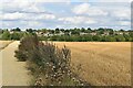 Field path to South Wonston