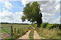 Farm track near New Barn