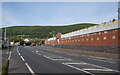The Springfield Road, Belfast