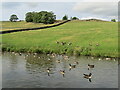 Low Bradley - Leeds and Liverpool Canal