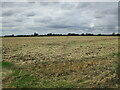 Footpath to Donington Road, Horbling Fen