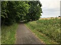 Deerness Valley Railway Path