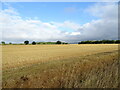 Stubble field off China Lane