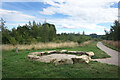 NZ2639 : Stone Circle, Low Burnhall Wood by Des Blenkinsopp