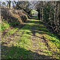 Track near the churchyard, Panteg