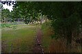 Gates and public footpath, near Grafton Lane, Bromsgrove, Worcs