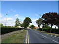 Looking north on Lifstan Way, Southend-on-Sea